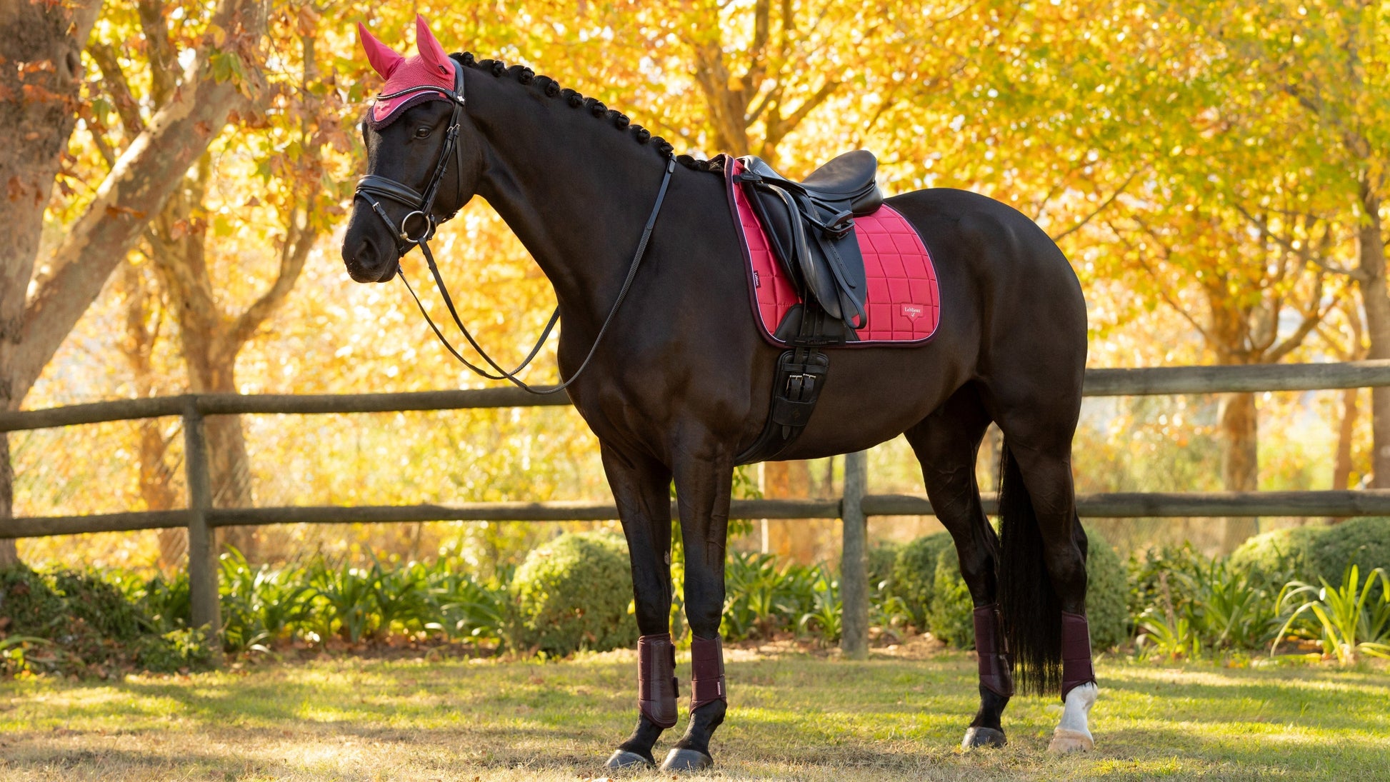 LeMieux Loire Classic Dressage Square