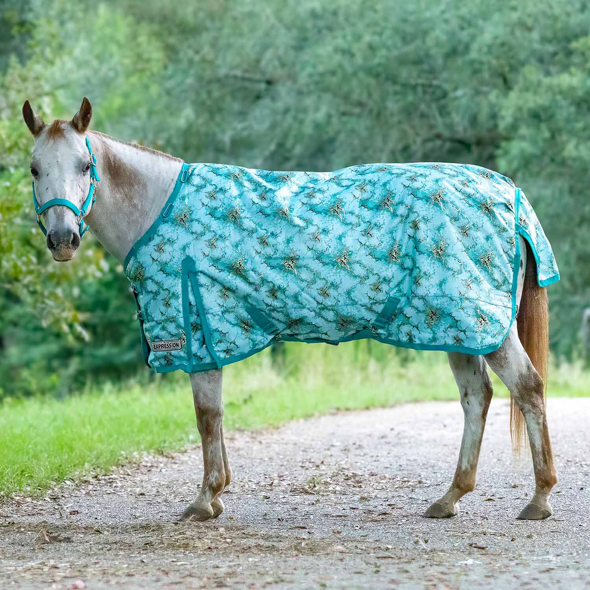 Jeffers Expression Pony 1200 Denier Medium Weight Standard Neck Turnout Blanket, 240g Fill
