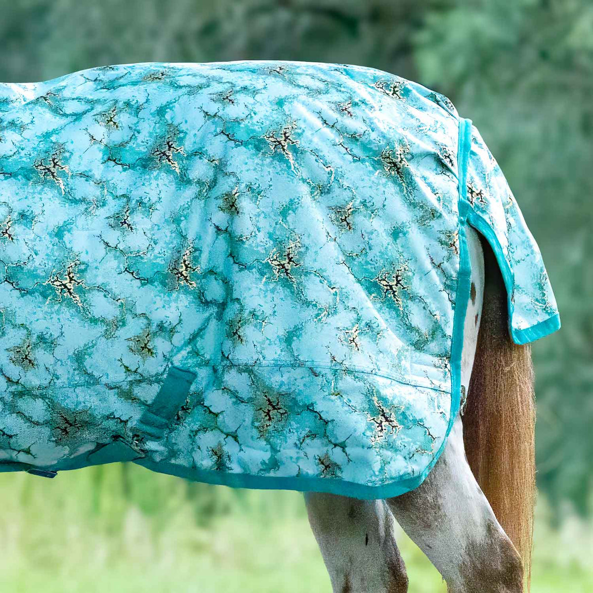 Jeffers Expression Pony 1200 Denier Medium Weight Standard Neck Turnout Blanket, 240g Fill