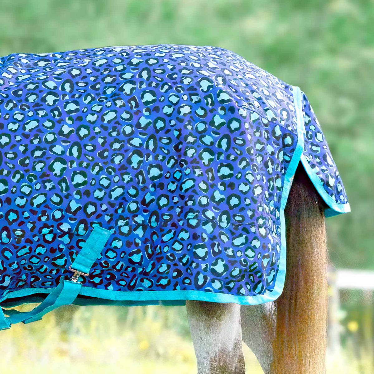 Jeffers Expression Pony 1200 Denier Medium Weight Standard Neck Turnout Blanket, 240g Fill