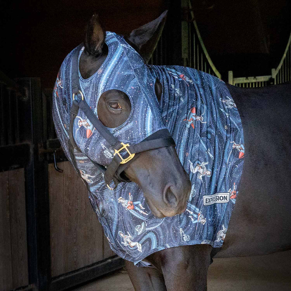 Jeffers Expression Lycra Hood for Horses