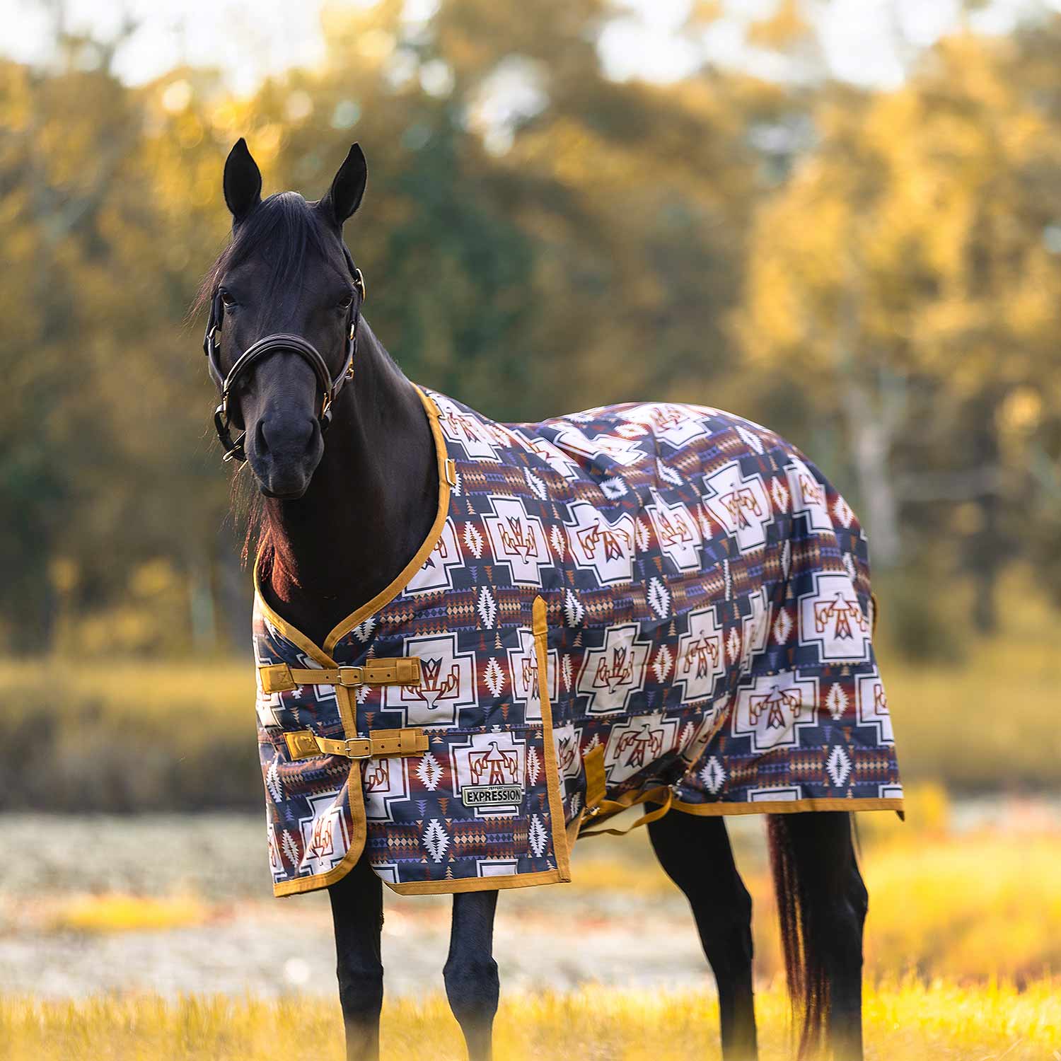 Jeffers Expression 1200 Denier Standard Neck Turnout Horse Blanket, 240 Gram