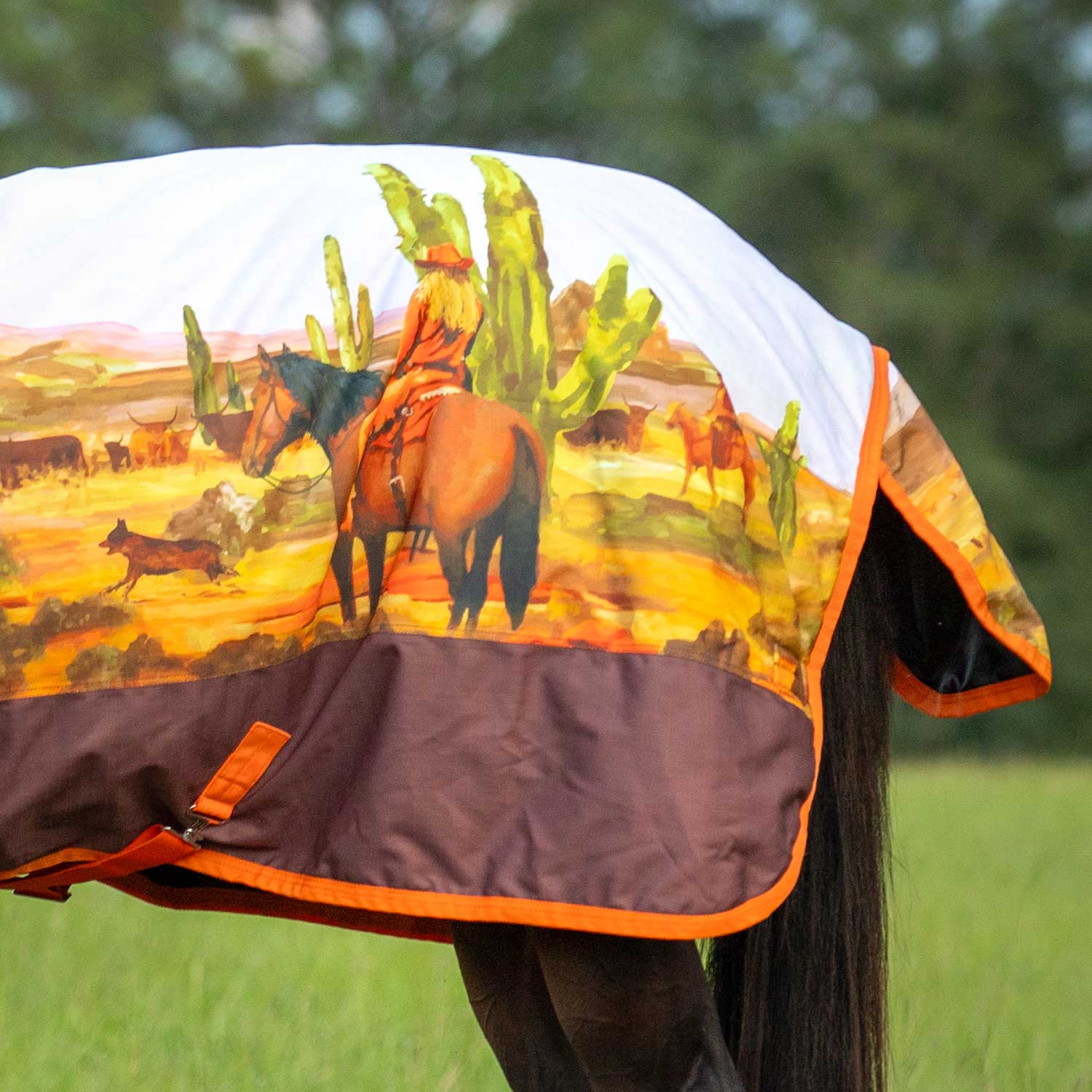 Jeffers Expression 1200 Denier Standard Neck Horse Turnout Sheet, 0 Gram