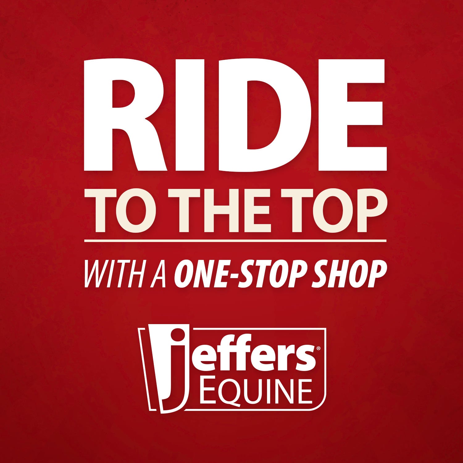 Jeffers Expression 1200 Denier Standard Neck Horse Turnout Sheet, 0 Gram