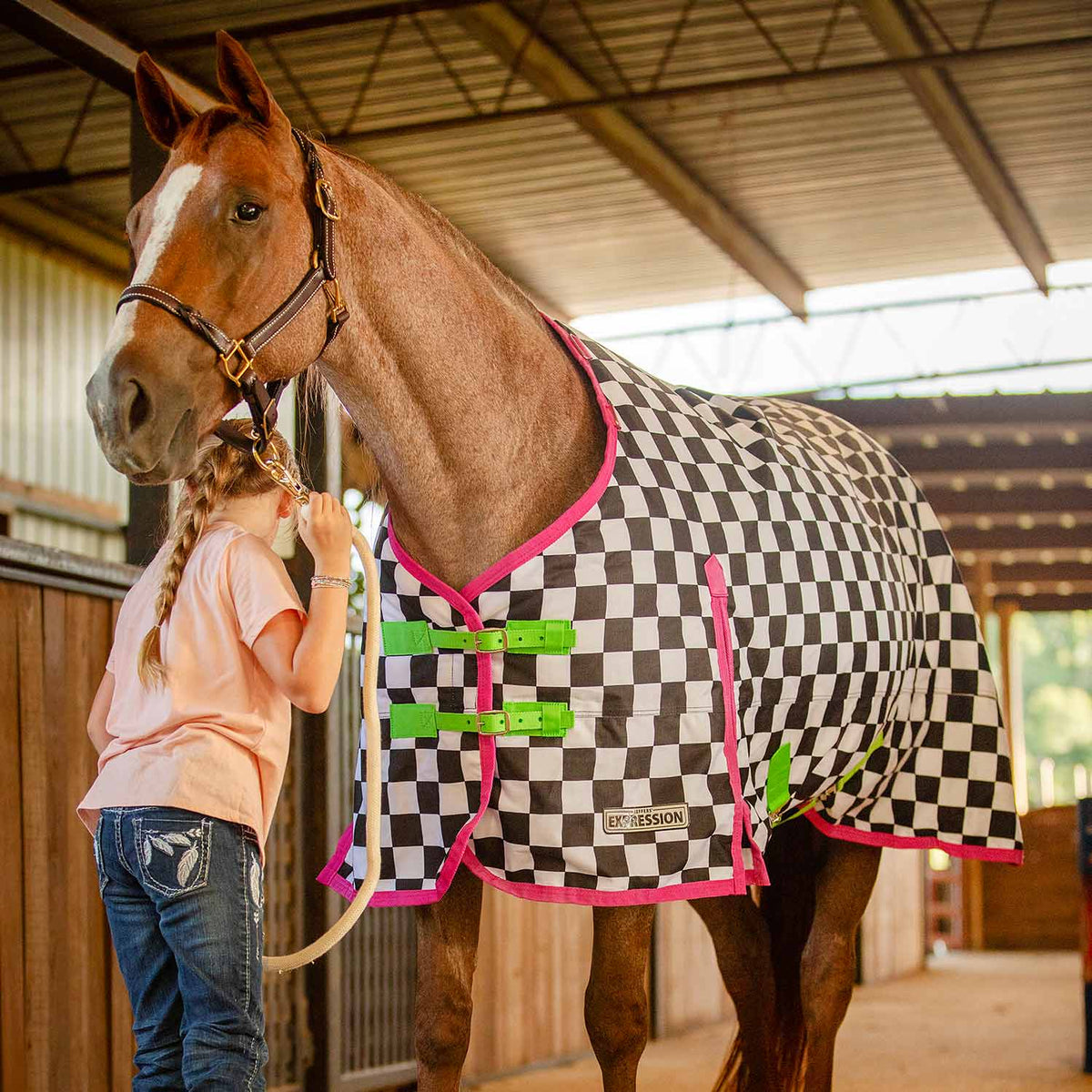 Jeffers Expression 1200 Denier Standard Neck Horse Turnout Sheet, 0 Gram