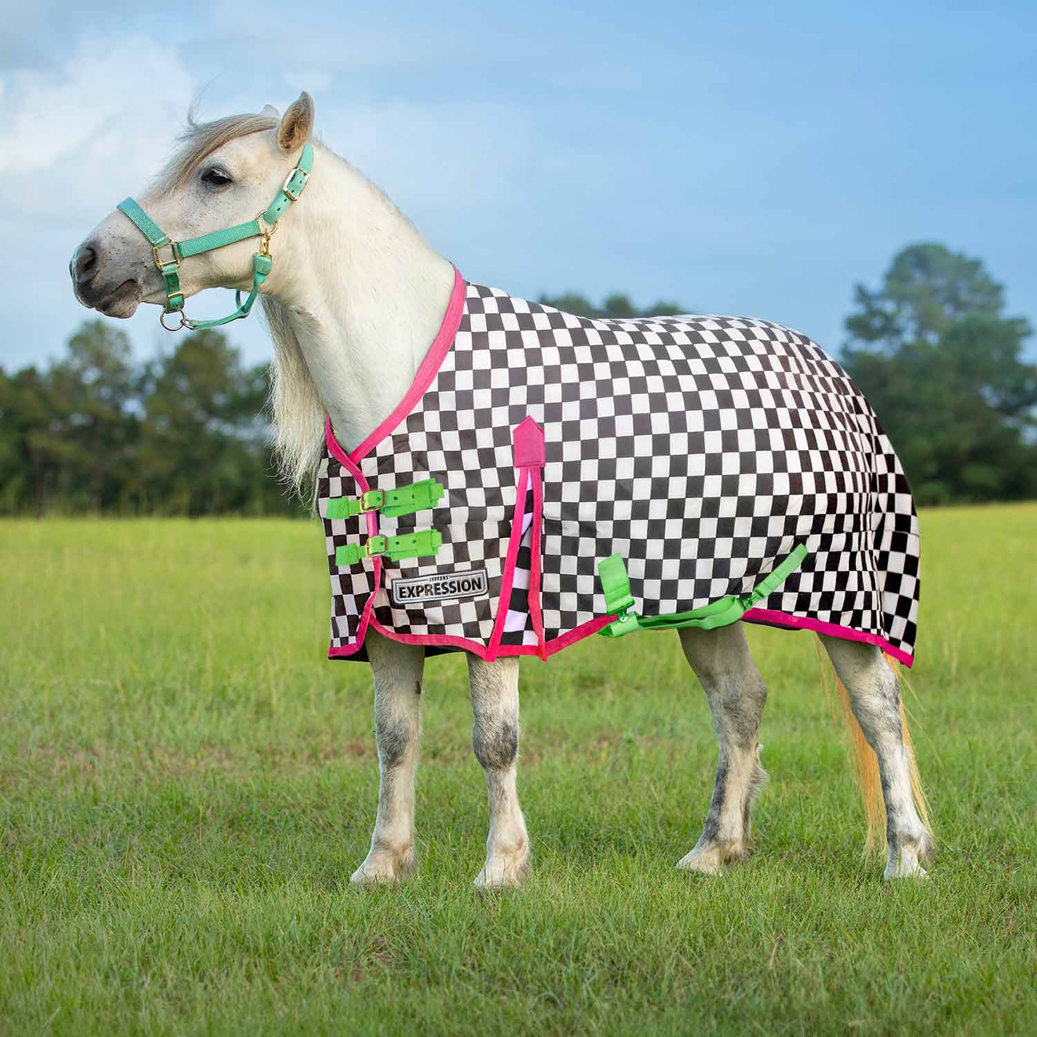 Jeffers Expression Pony 1200 Denier Medium Weight Standard Neck Turnout Blanket, 240g Fill