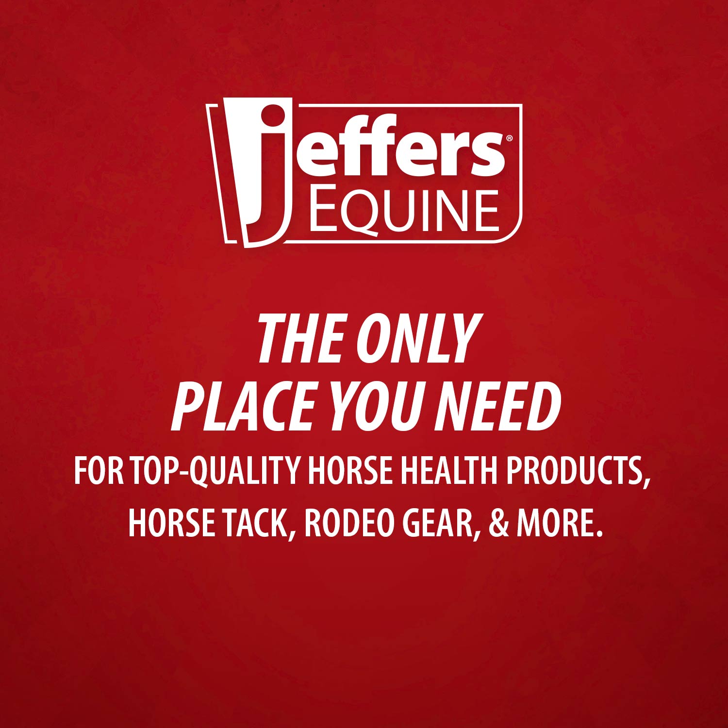 Jeffers Healthy Gut Gastric Support Liquid Supplement for Horses