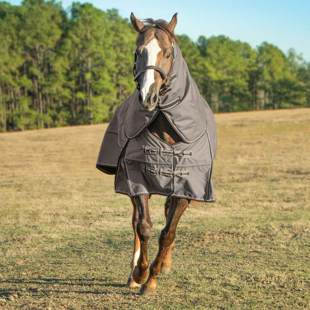 Jeffers Poplar Head "Defense" 1680 Denier Turnout Blanket with Detachable Neck, 360 Gram, Plymouth Brown