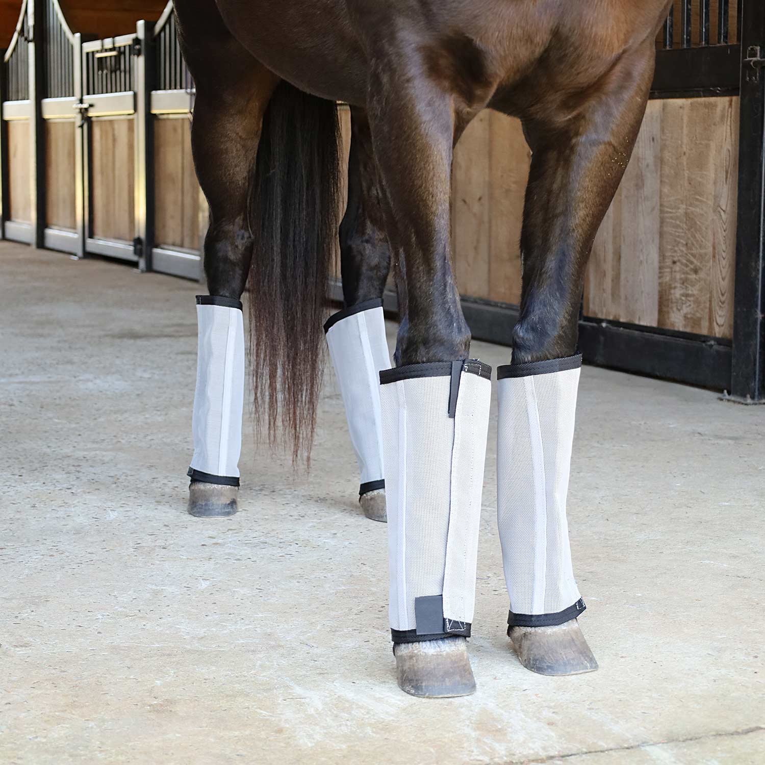 Jeffers Romper Stomper "Stomp-Free" Fly Boots for Horses, 4 pack