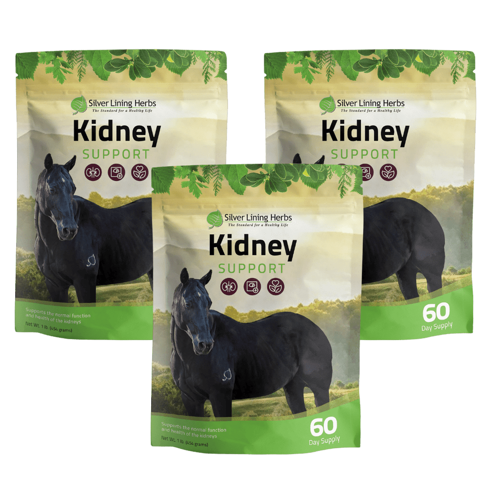 Kidney Support for Horses