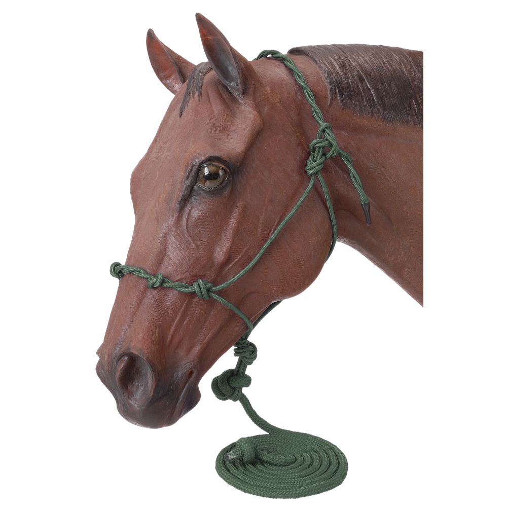 Poly Rope Halter W/Knots & 14ft Lead