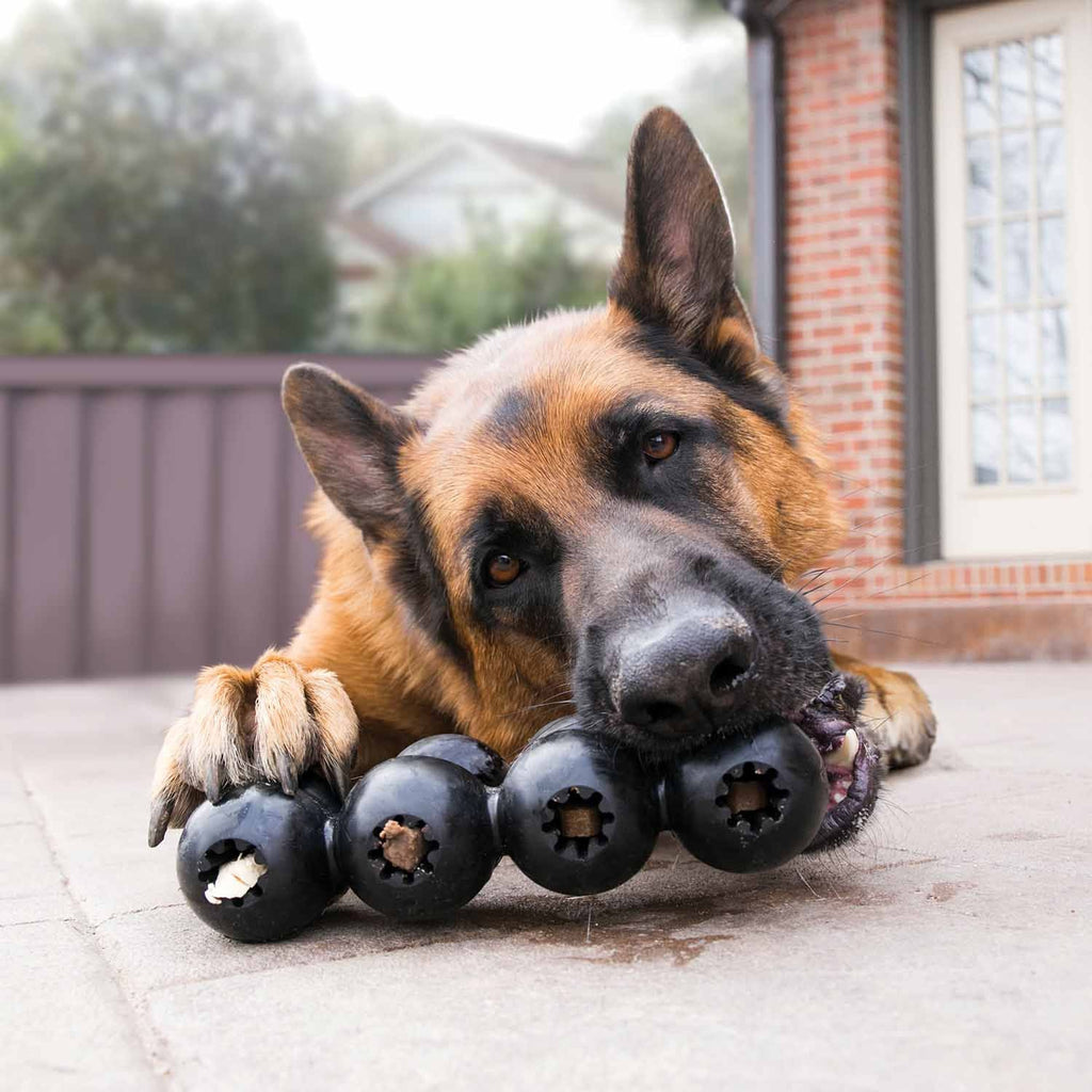 KONG Extreme Goodie Ribbon Dog Chew Toy