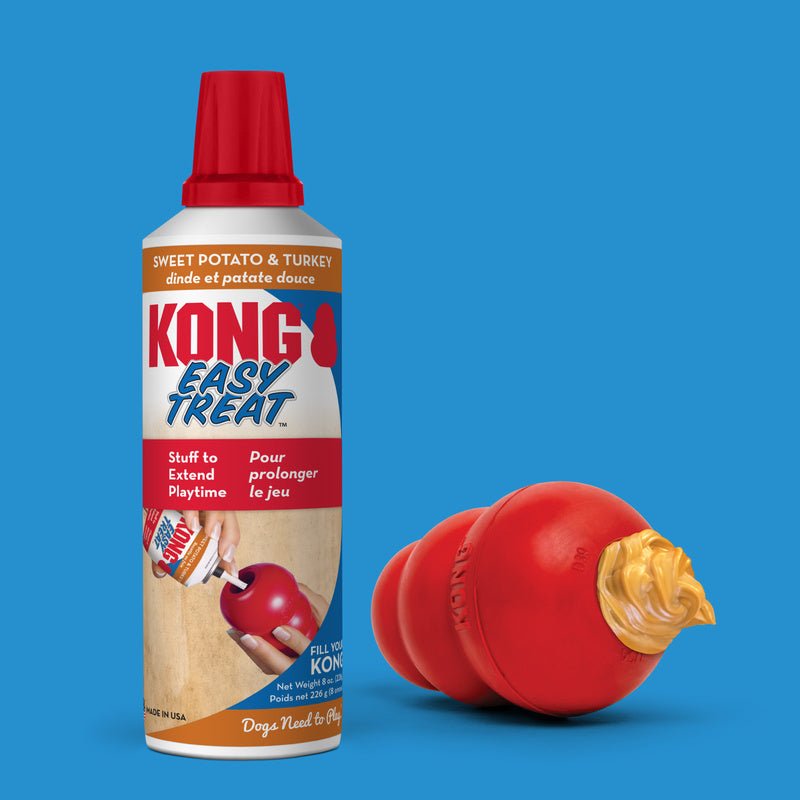 KONG Holiday Easy Treat® Turkey & Sweet Potato – Stuffable Dog Treat, Low-Calorie, Perfect for KONG Toys