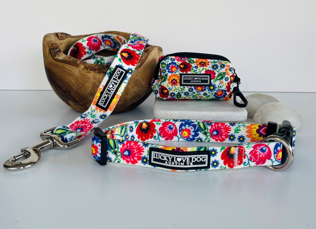 *Ladybird Dog Collar and Leash*