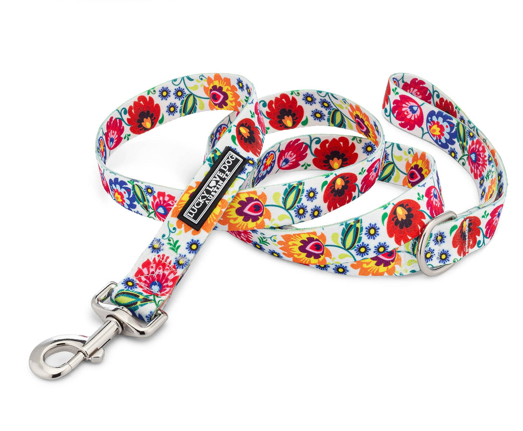 *Ladybird Dog Leash*