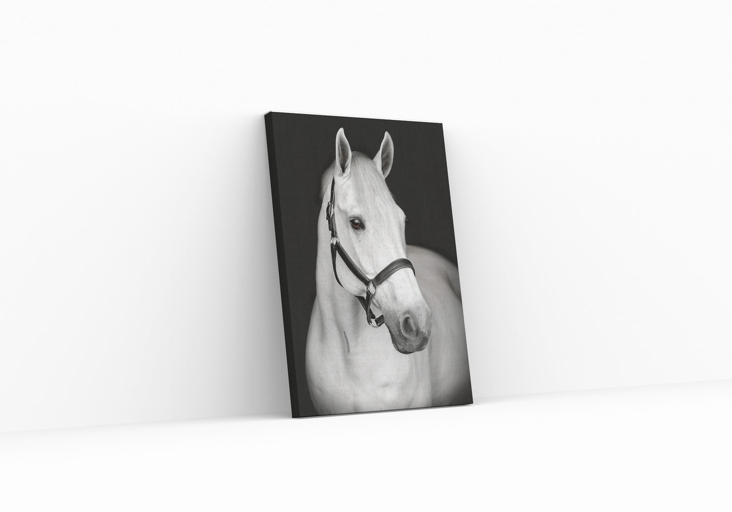 Animal canvas wall art horse photograph