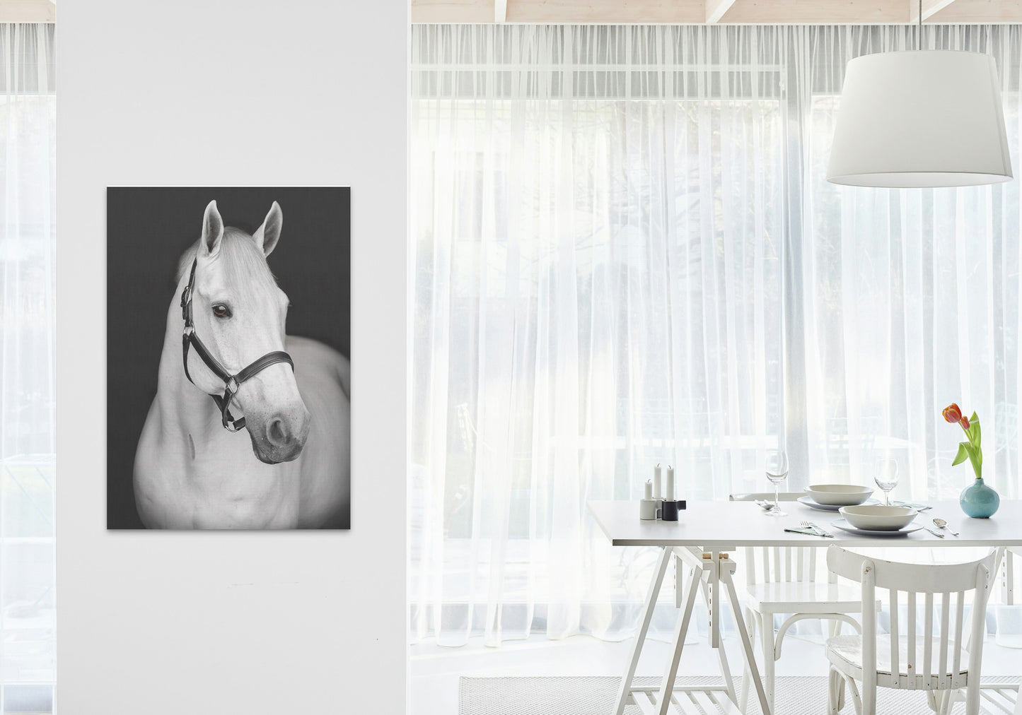 Animal canvas wall art horse photograph