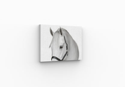 Animal canvas wall art