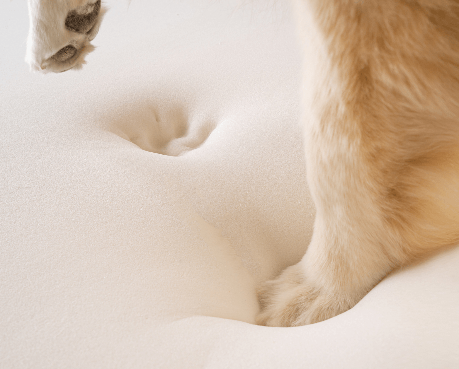 PupRug by Paw.com® Faux Fur Orthopedic Dog Bed - Curve Polar White