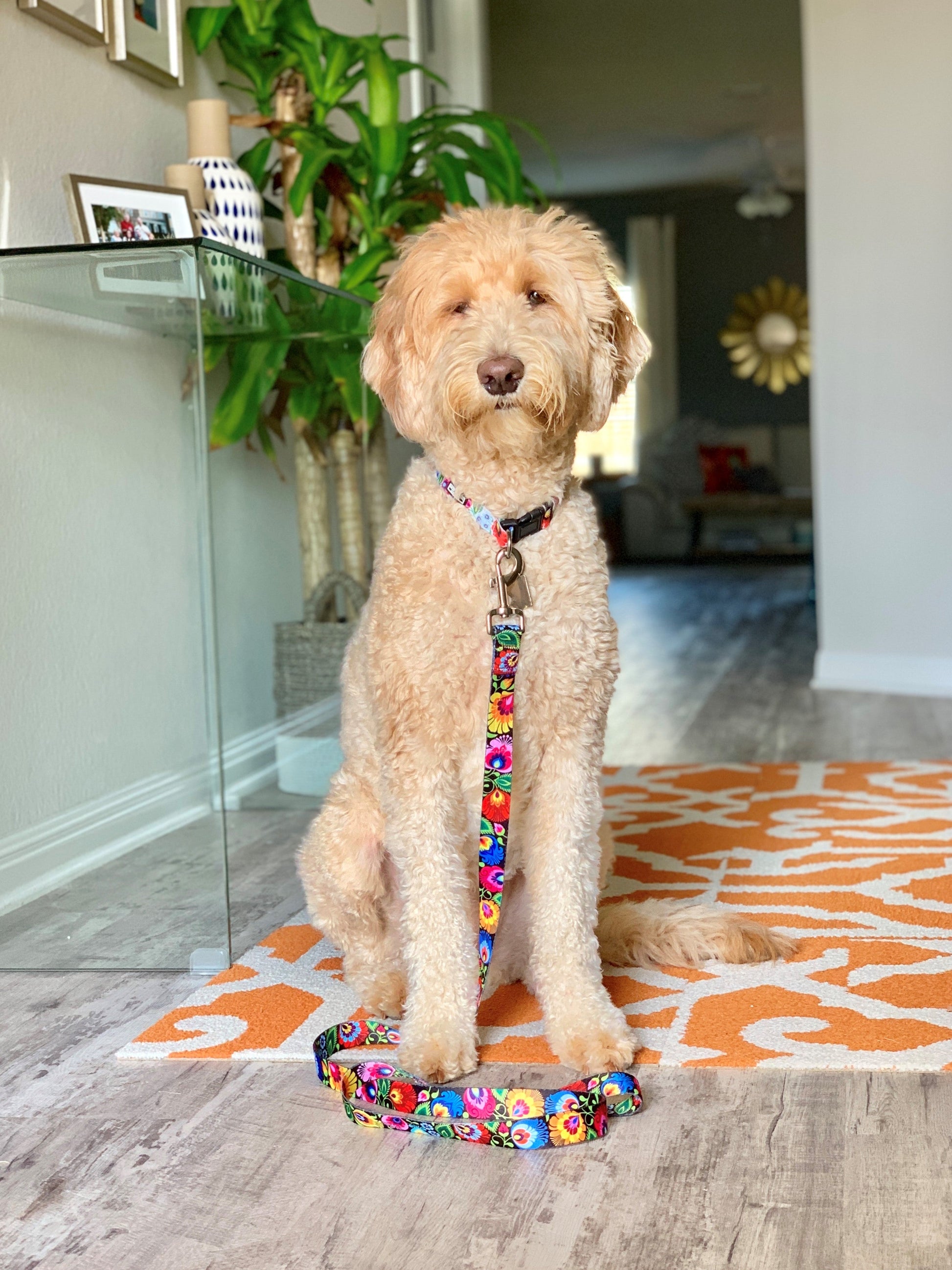 *Blackbird Dog Leash*
