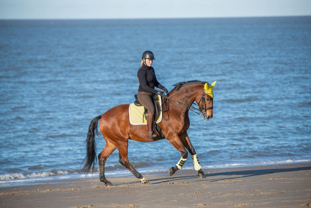 Mimosa Saddle Pad Set