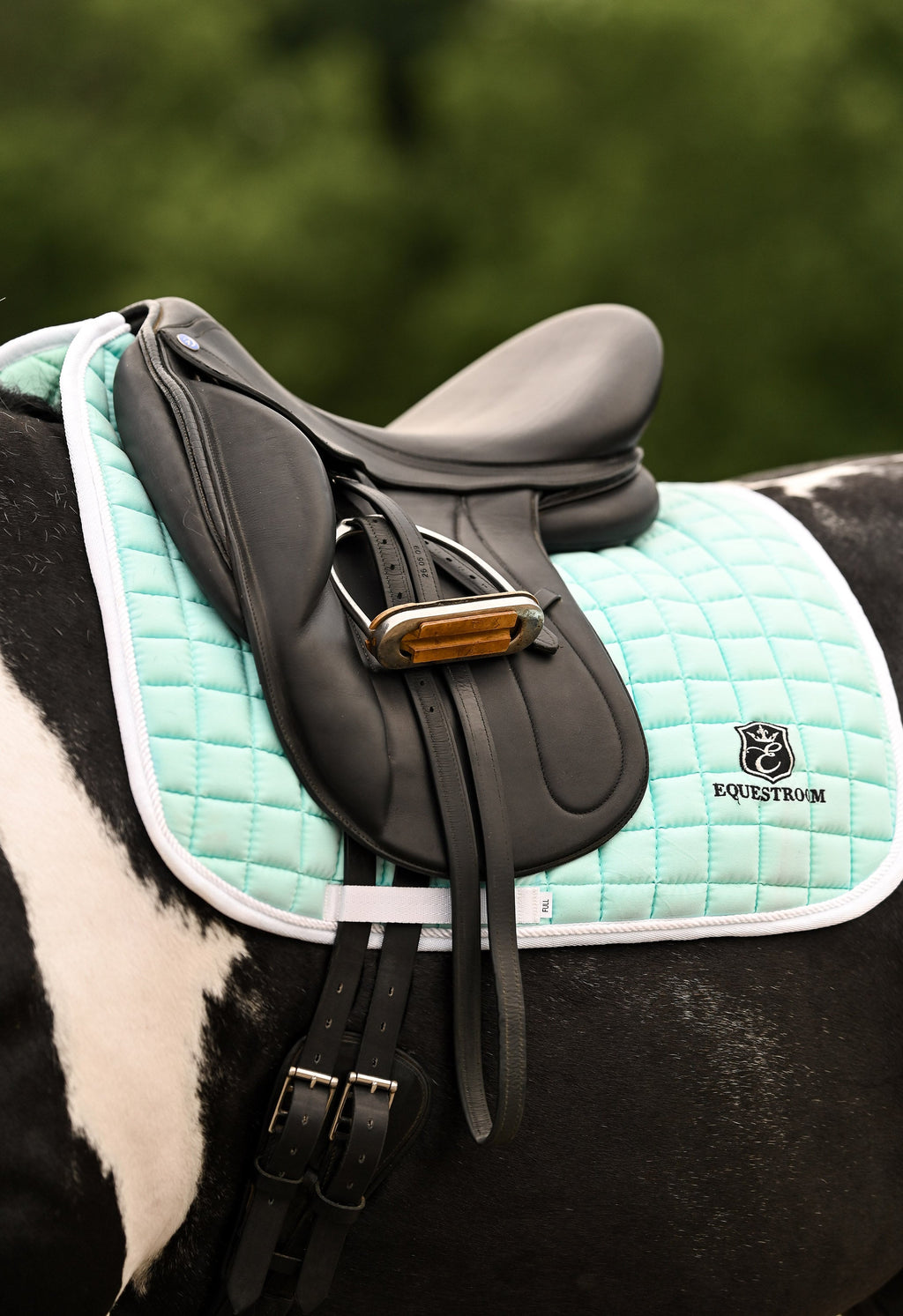 Mint Green Saddle Pad Set