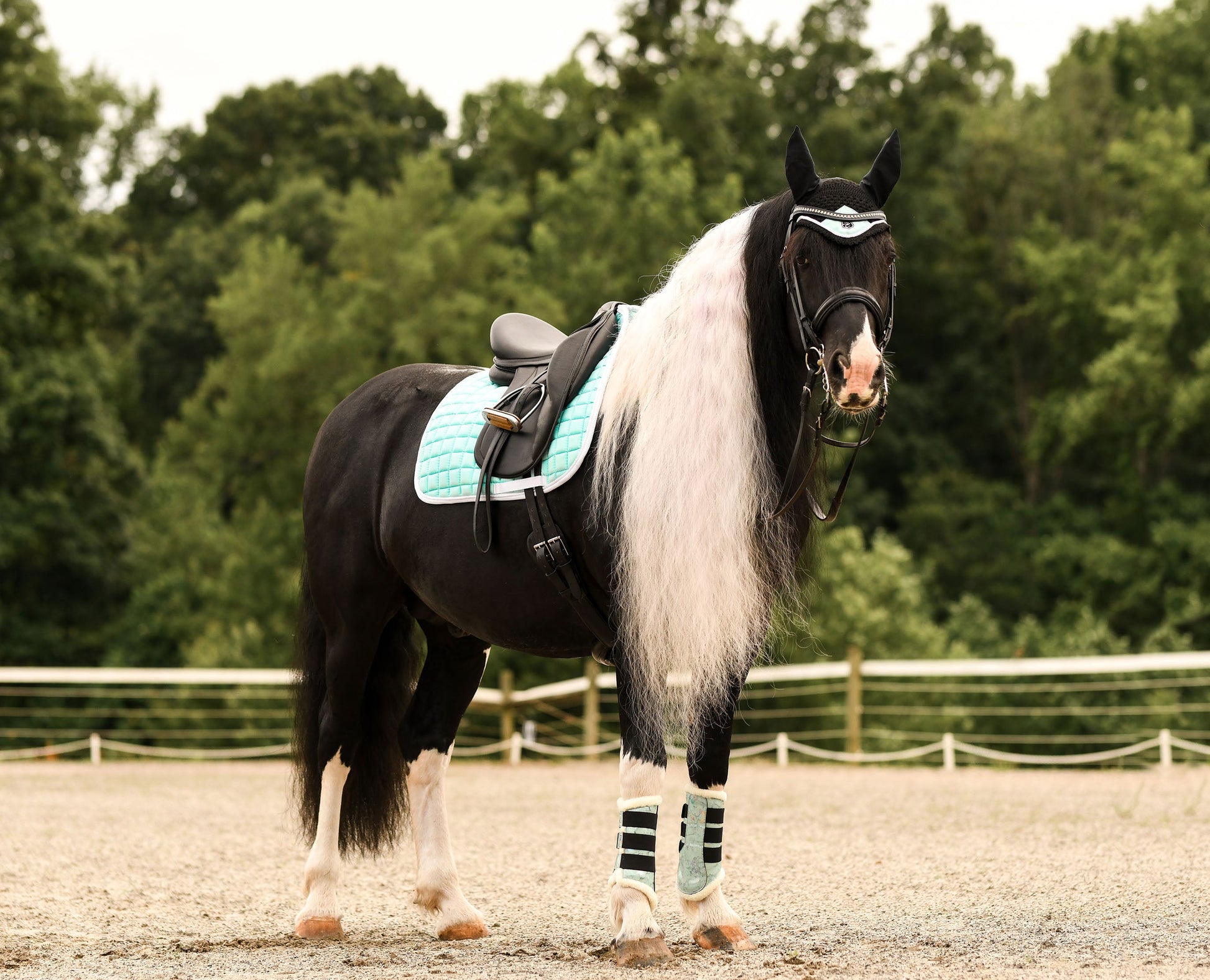 Mint Green Saddle Pad Set