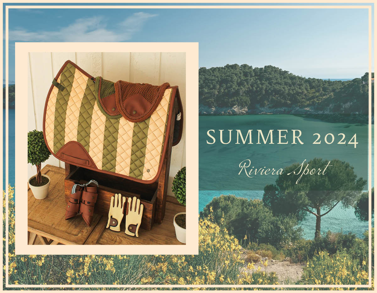 Dressage Pad, Amalfi Stripe - Factory 2nd's