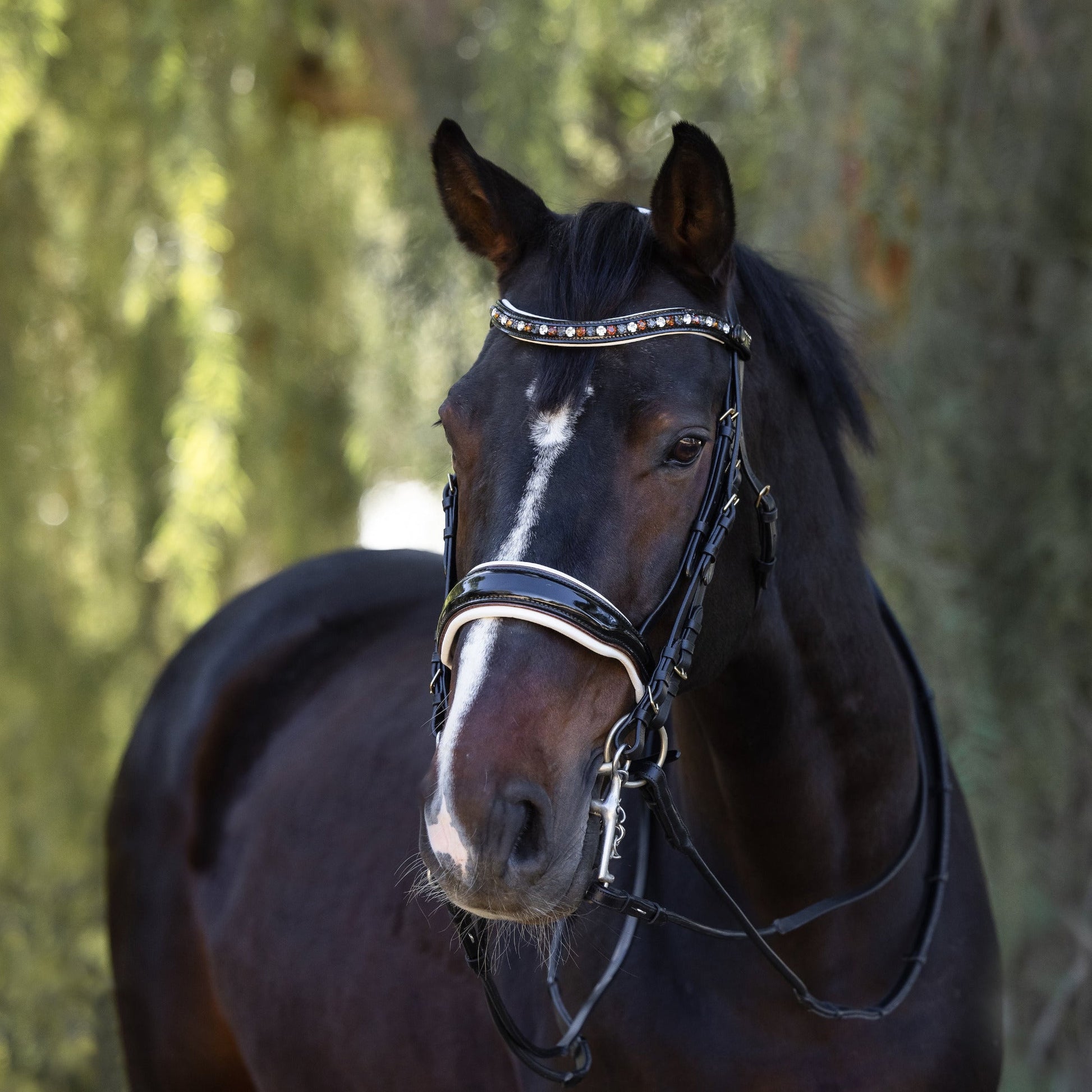 The Taos Black Patent Double