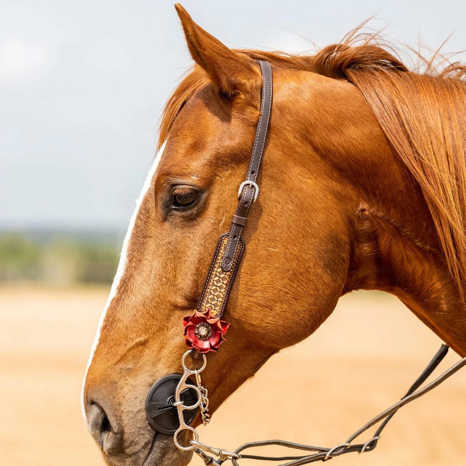 Circle Y Sarah Rose Vintage Hand-Tooled Leather One Ear Headstall with Red Flower Conchos, Chicago Screws & Durable Stainless Steel Hardware for Show & Everyday Riding