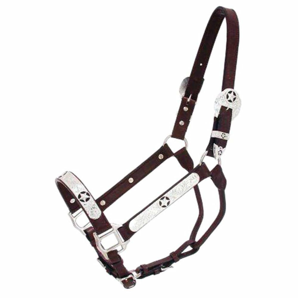 Royal King Black Star Silver Show Halter Horse