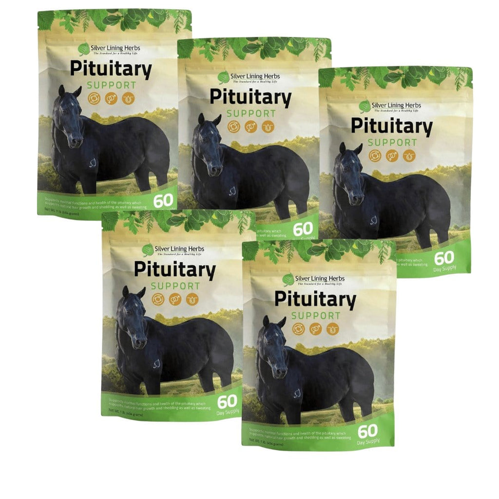 Pituitary Support for Horses