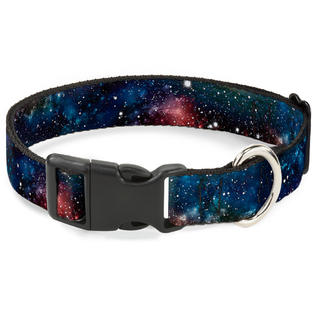 Buckle-Down Space Dust Collage Pet Colla