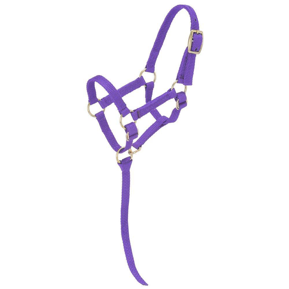 HUNTER GREEN Adjustable Nylon Miniature Halter S/M