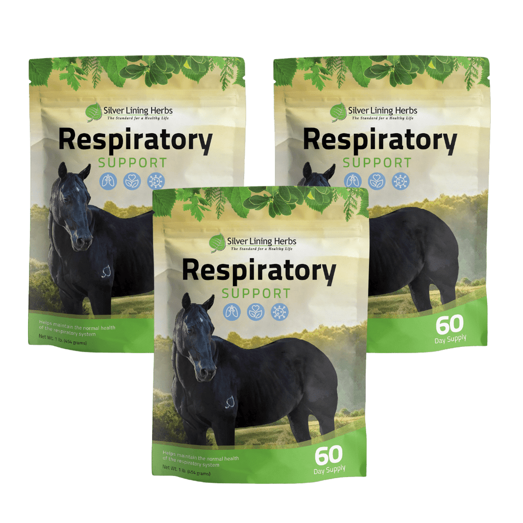 Respiratory Support for Horses