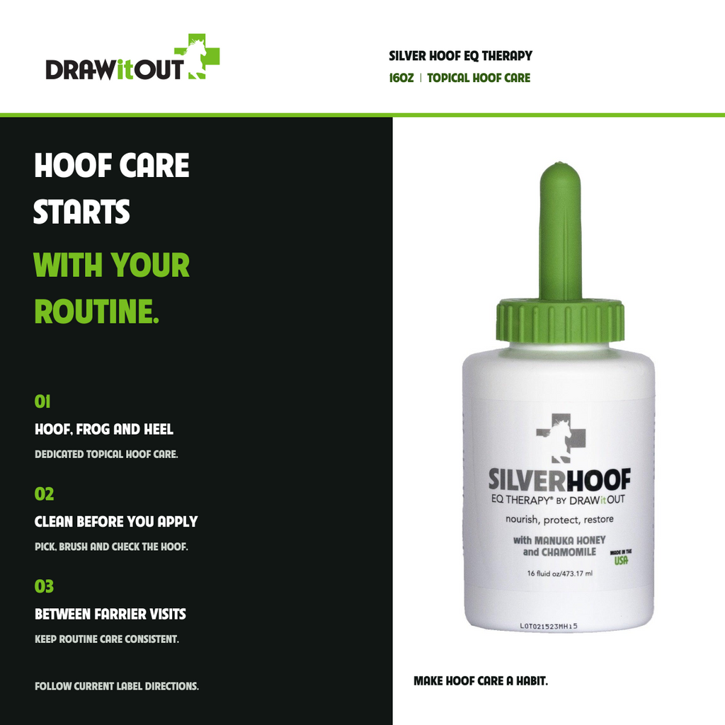 Silver Hoof EQ Therapy® 16oz | Draw It Out® Hoof Care