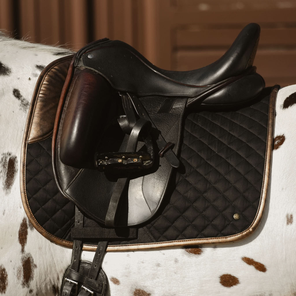 Dressage Pad, Black & Gold Leaf - End of season