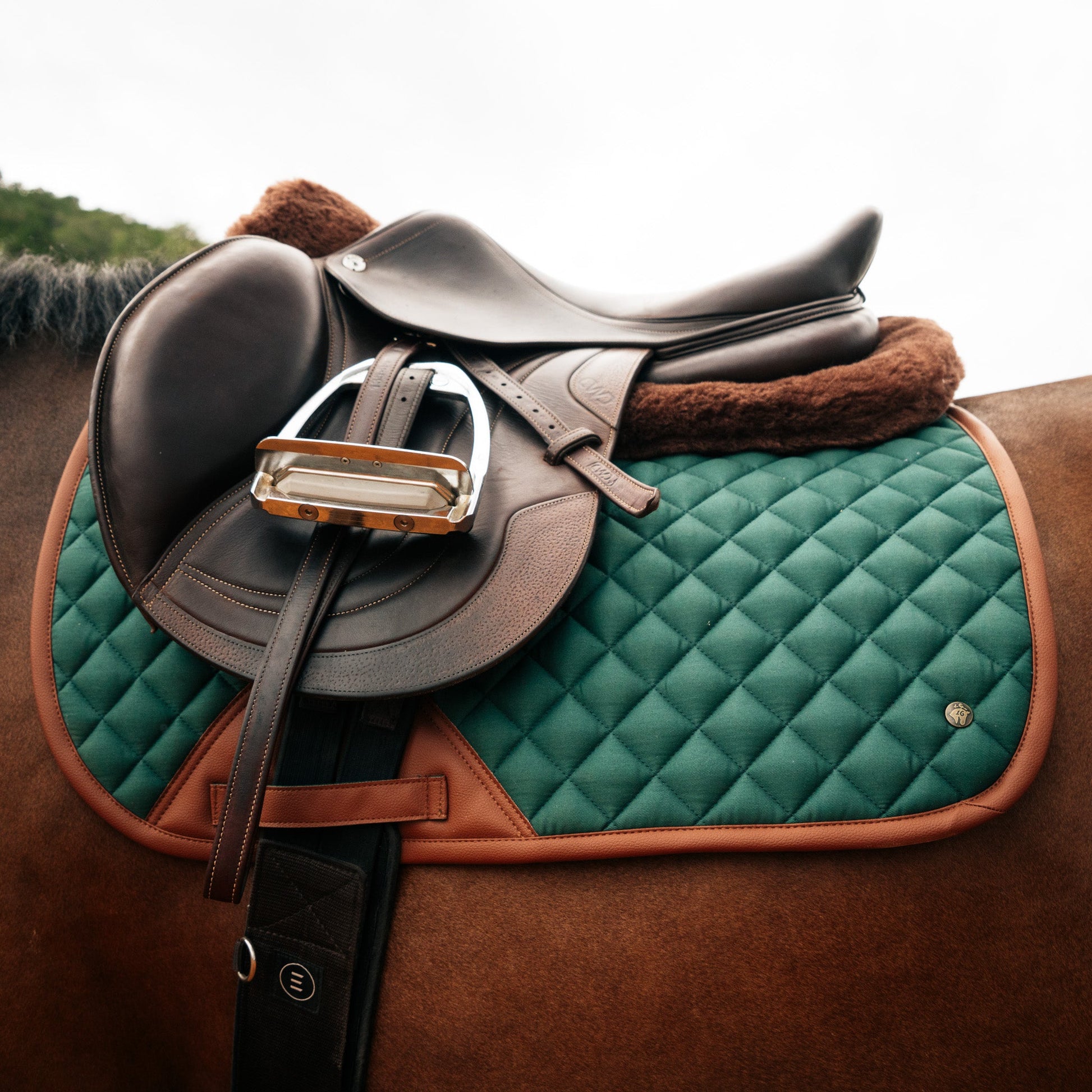 Jumper Pad, Cypress & Cognac