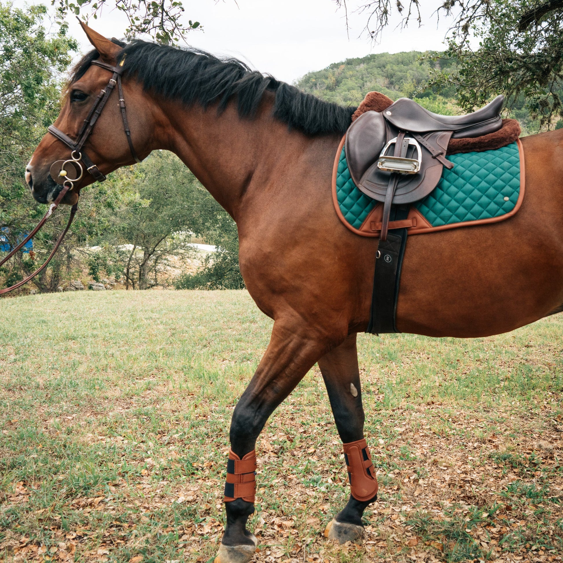 Leatherette Splint Boots, Hickory