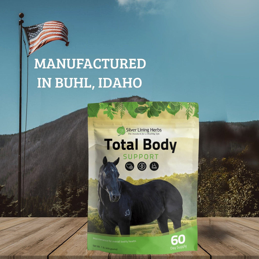 Total Body Support for Horses