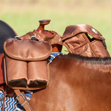 Cashel Horn Saddle Bag Medium