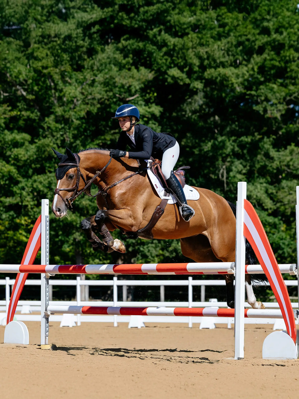 LeMieux Loire Classic Close Contact Square