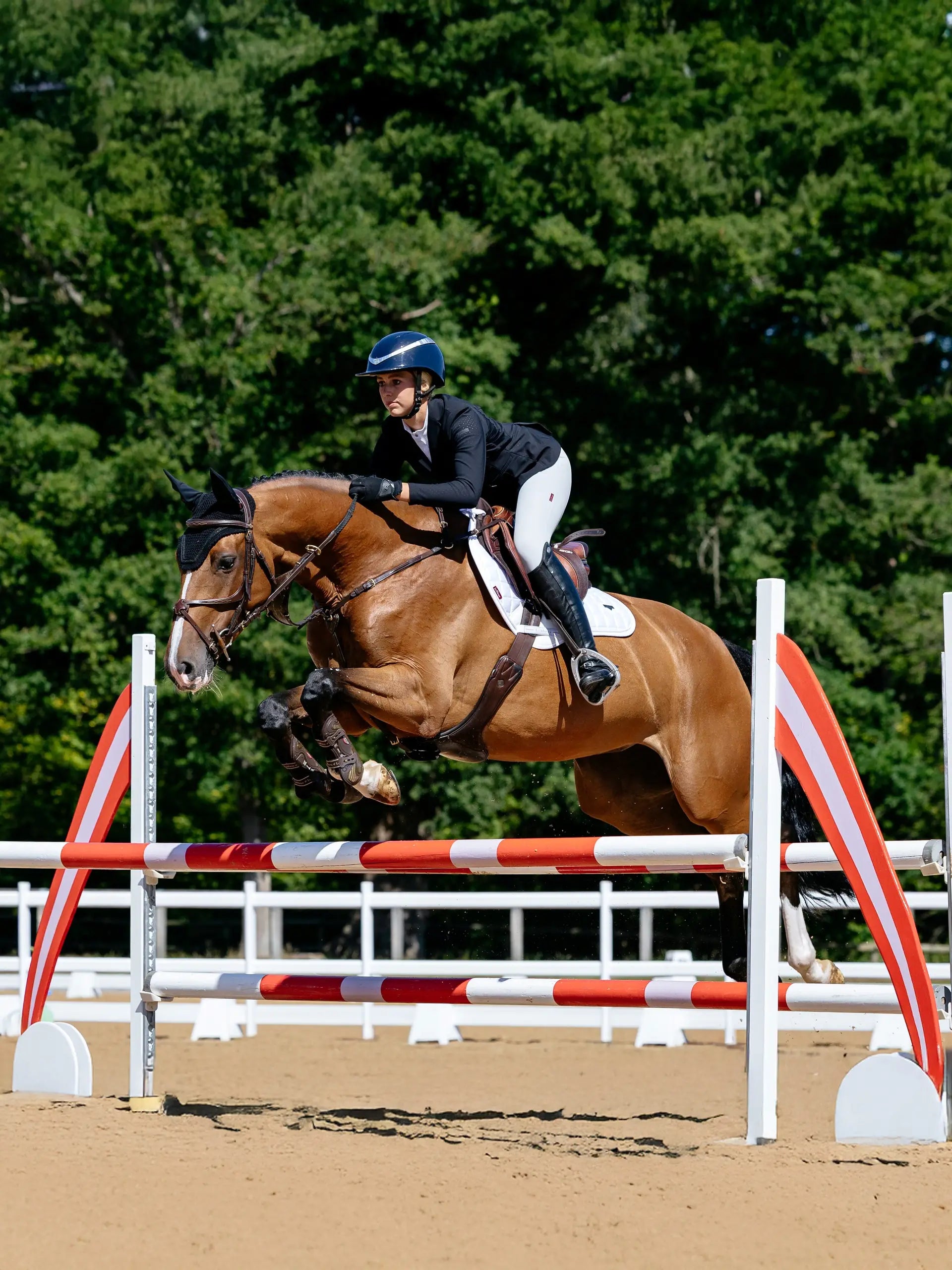 LeMieux Loire Classic Close Contact Square