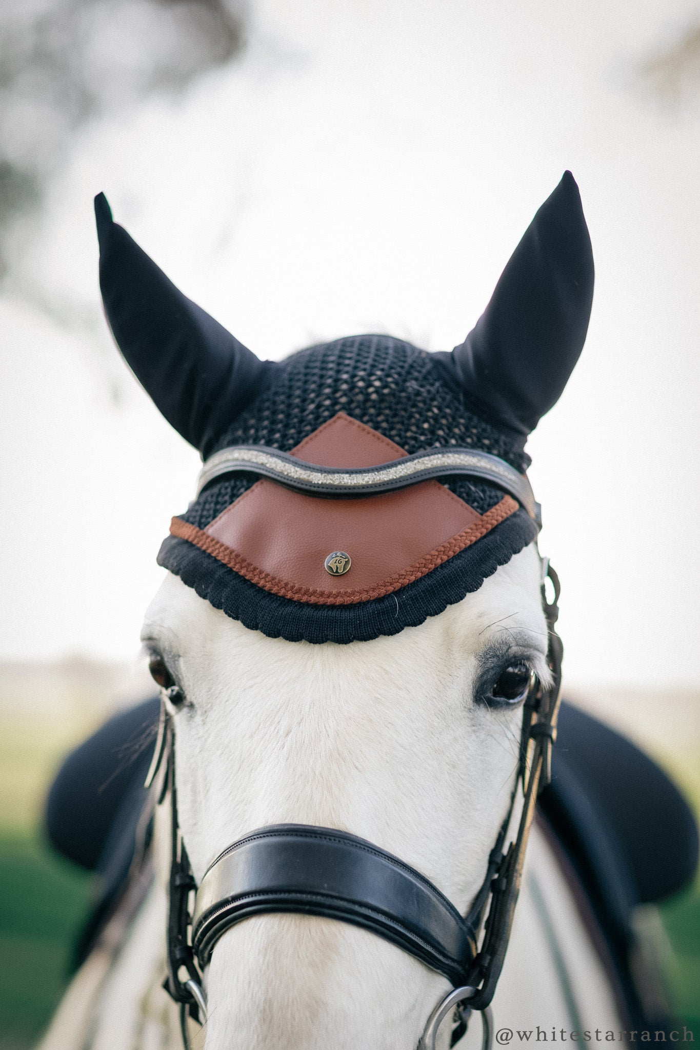 Ear Net, Navy & Hickory