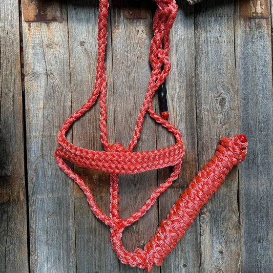 Coral Mule Tape Halter - Blazzing Bridles