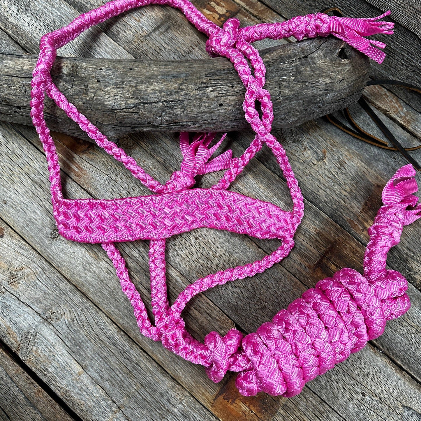 Pink Flat Braided Mule Tape Halter