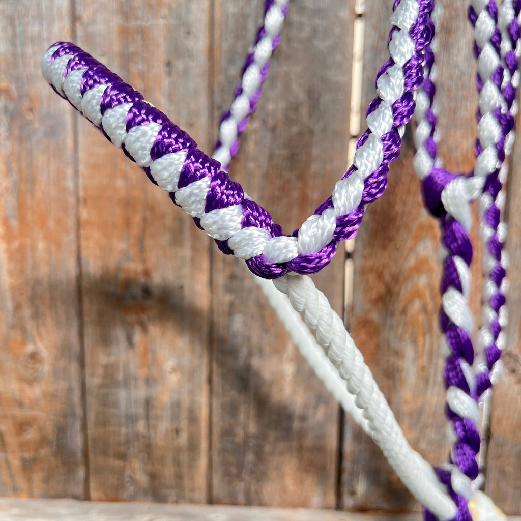 Purple and White Mule Tape with Lariat Noseband Halter