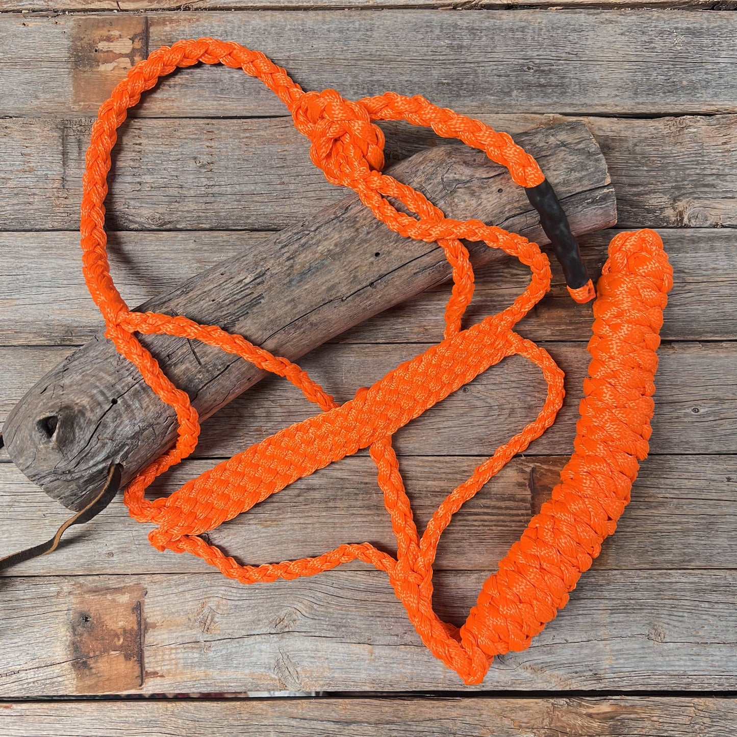 Orange Mule Tape Halter