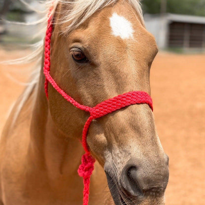 Red Mule Tape Halter